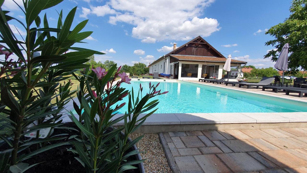Bed and Breakfast Tisza White House Tiszaszolos Экстерьер фото