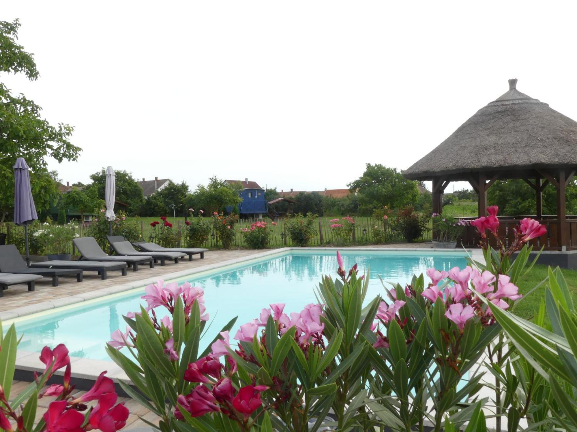 Bed and Breakfast Tisza White House Tiszaszolos Экстерьер фото