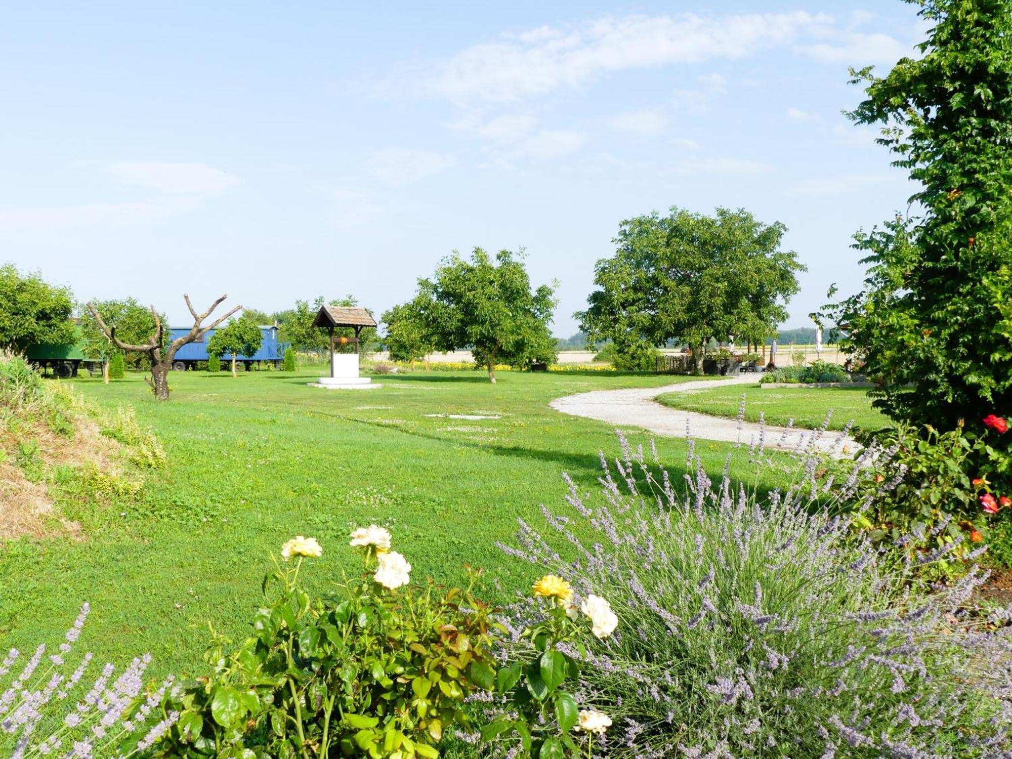 Bed and Breakfast Tisza White House Tiszaszolos Экстерьер фото